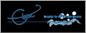 Campaign for a Hidrogen Economy